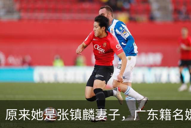 原来她是张镇麟妻子，广东籍名媛家世显赫，怪不得丈夫是CBA顶流